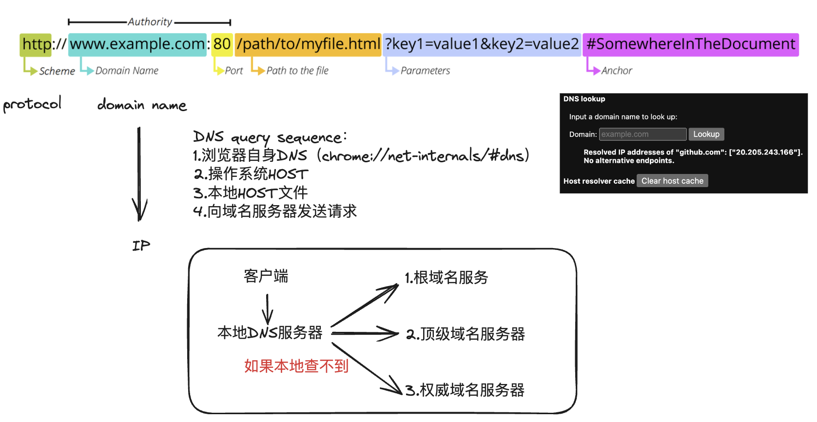 DNS lookup